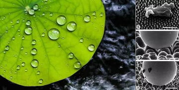 化纖不透氣？你媽覺得該這么穿，真不一定對！